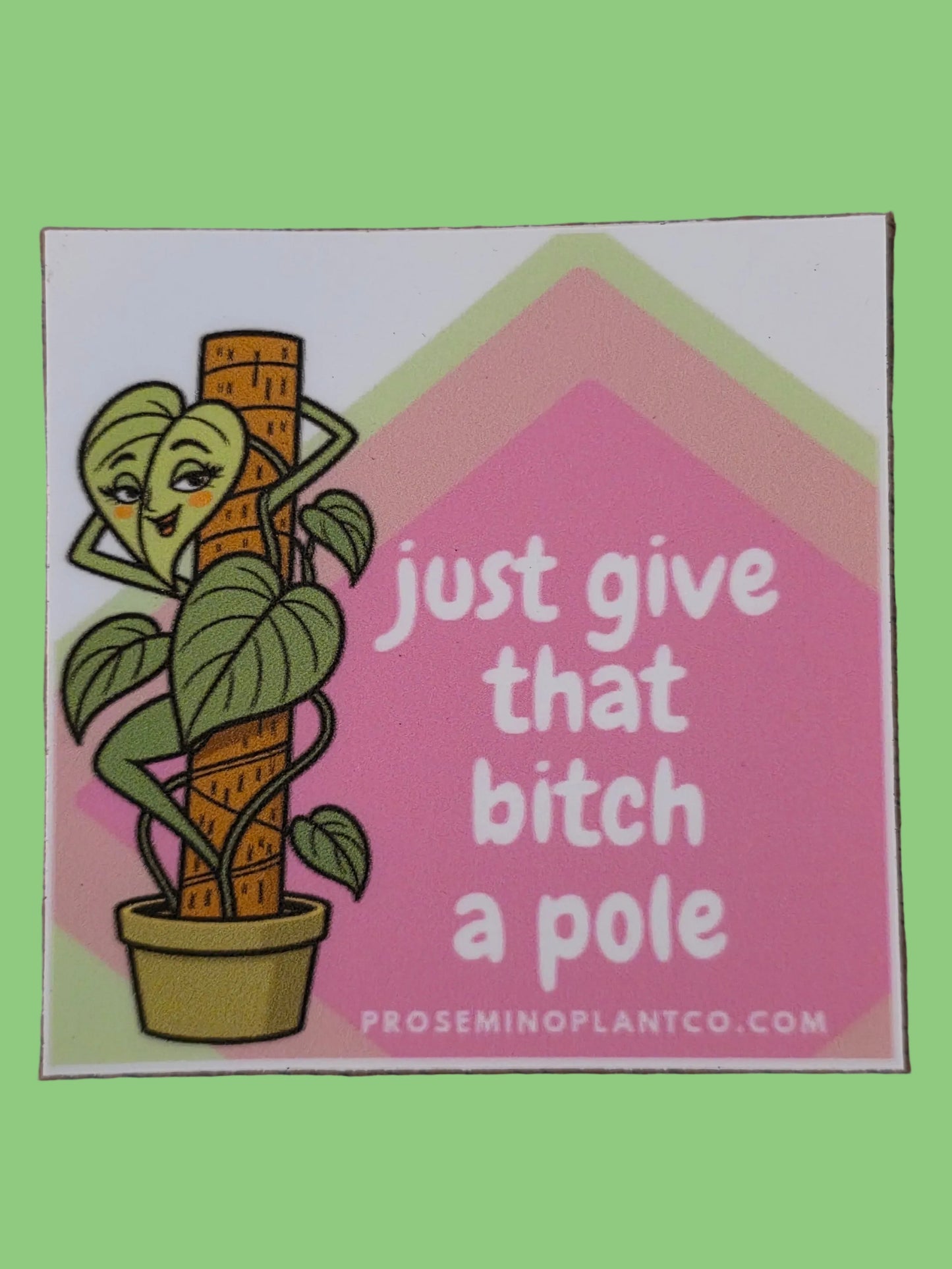 Give that B*txh a Pole Sticker