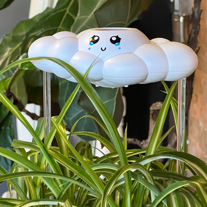 Clara The Cloud