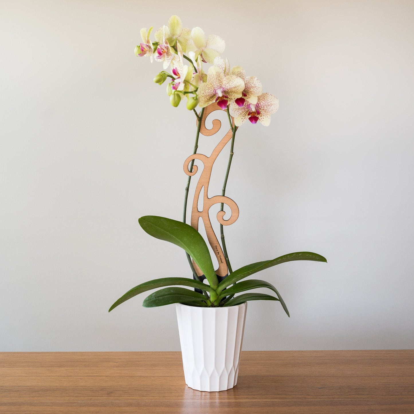 Flora™ - Plant trellis designed for Orchids