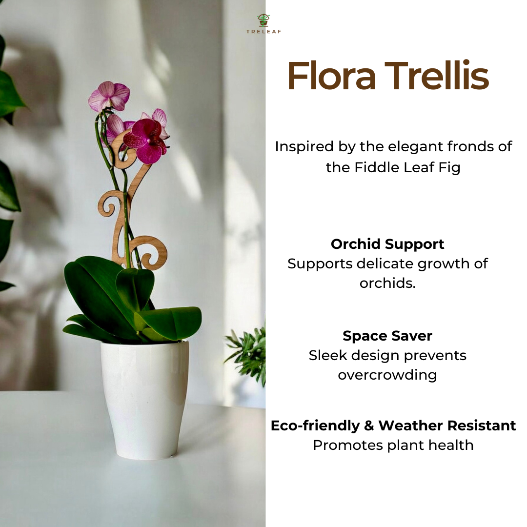 Flora™ - Plant trellis designed for Orchids