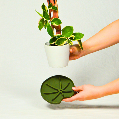 Lili™ Sausr - Lilly pad shaped Saucer - Spill tray - Drip tray for houseplants - Humidity tray