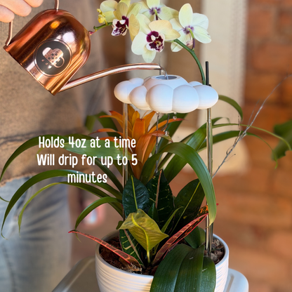 Cory the Cloud