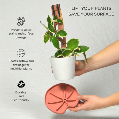 Lili™ Sausr - Lilly pad shaped Saucer - Spill tray - Drip tray for houseplants - Humidity tray