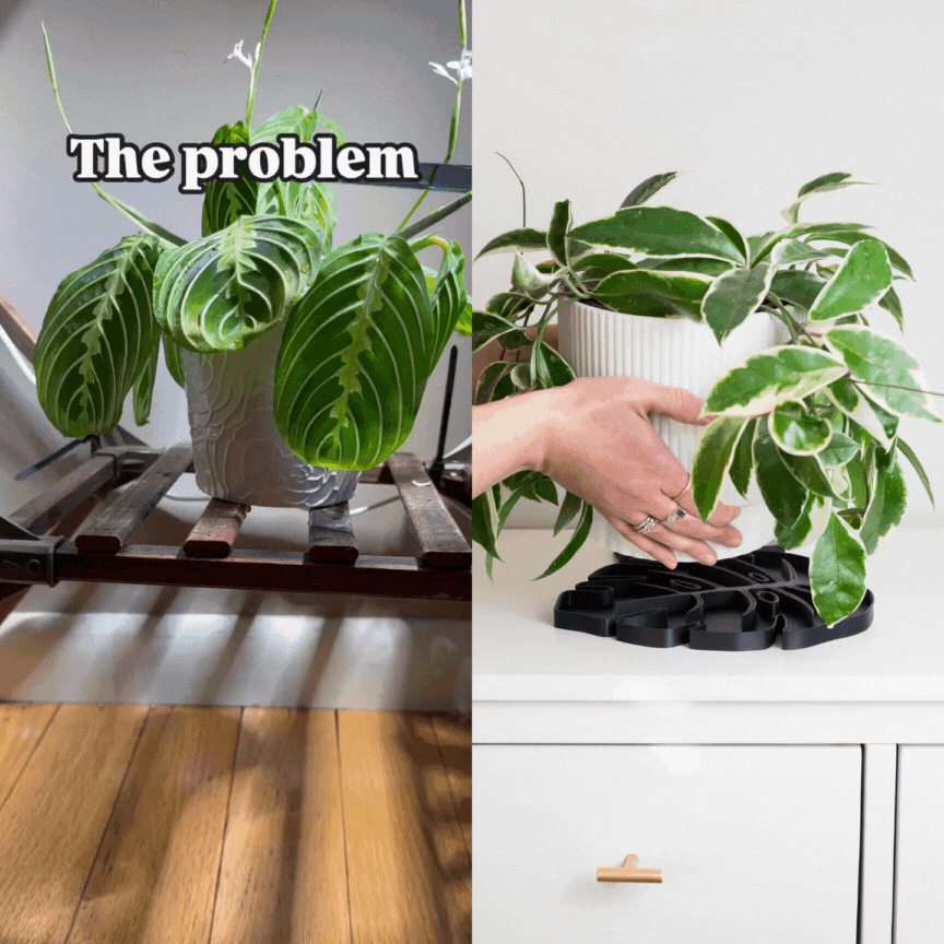 Tera™ Sausr™ - Leaf-shaped Pot Saucer - Drip tray for houseplants - Humidity tray