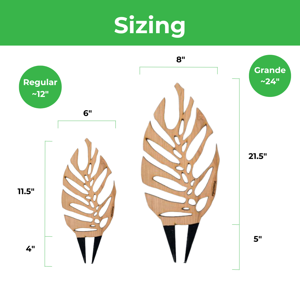 Monstrella - Plant trellis inspired by the Monstera Leaf
