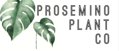 Prosemino Plant Co