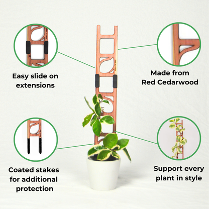 Stella - Modular ladder support