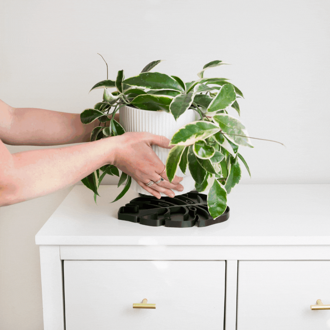 Tera™ Sausr™ - Leaf-shaped Pot Saucer - Drip tray for houseplants - Humidity tray