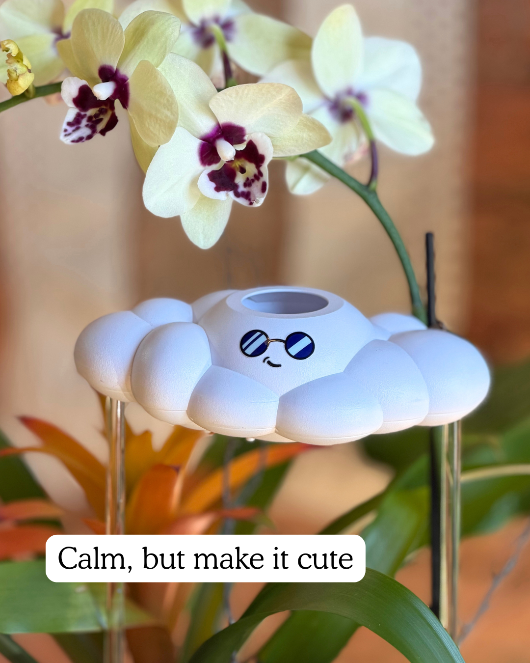 Cooper the Cloud
