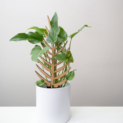 Palmella - Plant trellis inspired by the Palm Leaf