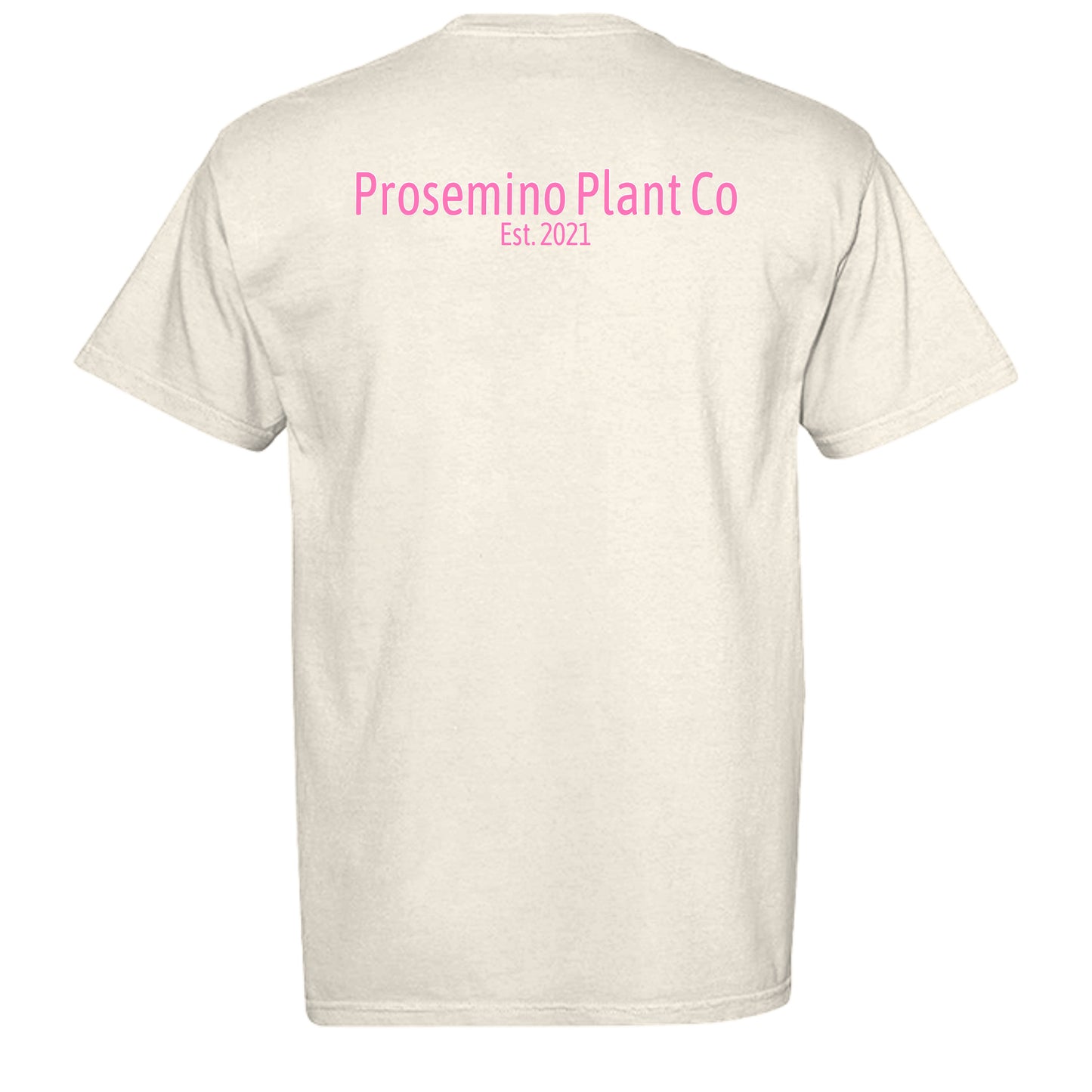 IVORY - C1717 - BACK